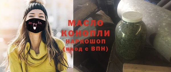 молекула духа Арсеньев