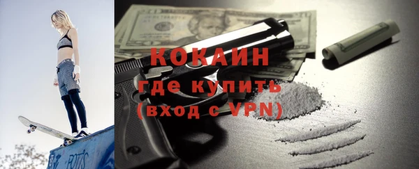шишки Балахна