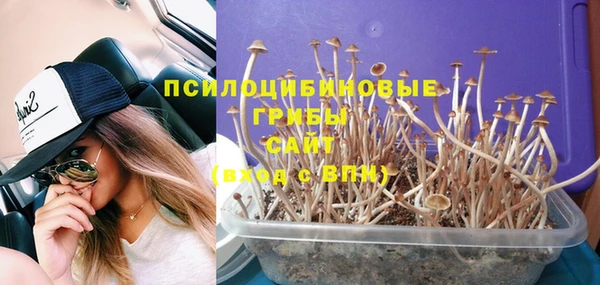 молекула духа Арсеньев