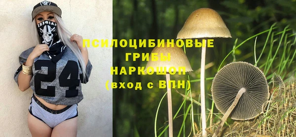 соль ск Видное