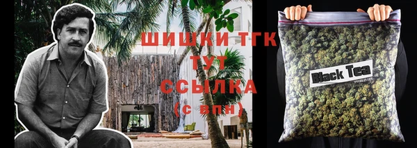 шишки Балахна