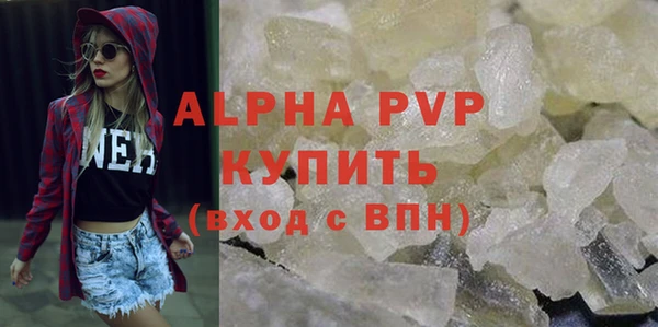 молекула духа Арсеньев