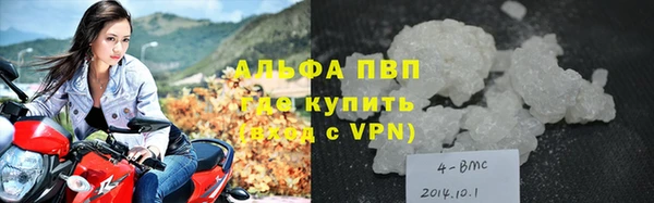 молекула духа Арсеньев